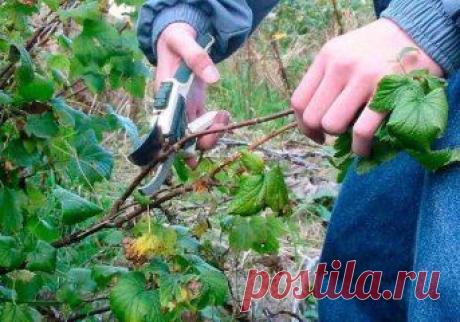 (28) Одноклассники
