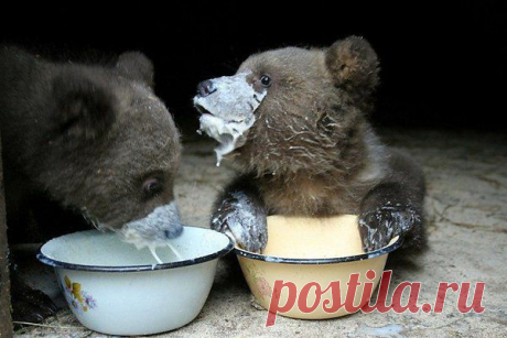 Интересные новости