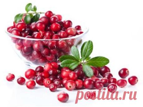 Рябина — понижает, куркума — повышает. Какие продукты регулируют давление