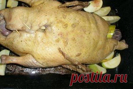 Утка с яблоками - рецепты участника Galya-toys - кулинарная социальная сеть Cook-room.com