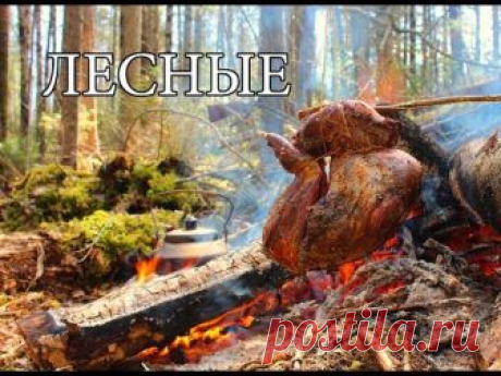 ПУТЬ ОХОТНИКА | НЕОБЫЧНЫЙ КОСТЕР - ЖАРОВНЯ | ЗАПЕЧЕННОЕ МЯСО | КРОВАТЬ ИЗ МЕШКОВ | ТАЙГА | HUNT