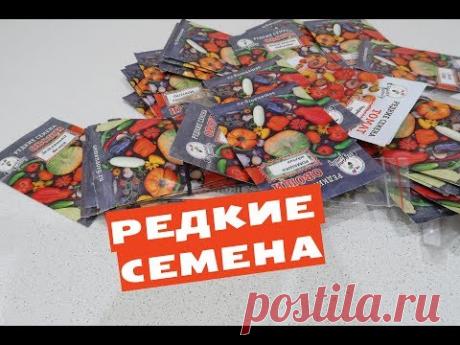 Редкие семена. Сажаю белую землянику. - YouTube