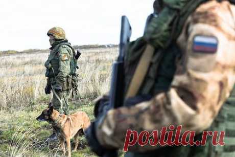 Росгвардейцы выявили 22 пособника ВСУ и нашли схроны в Херсоне и Запорожье. Росгвардейцы выявили 22 подозреваемых в пособничестве Вооруженным силам Украины в Херсонской и Запорожской областях. Бойцы спецслужбы нашли несколько схронов и тайников украинских военнослужащих. Росгвардейцы изъяли их них 22 единицы огнестрельного оружия, три ручных противотанковых гранатомета, 25 выстрелов.