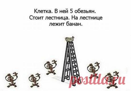 потому что так уж тут заведено / Болталка / Юмор