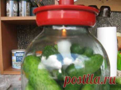 Свежие огурцы на зиму. (Вакумная упаковка в трехлитровке)