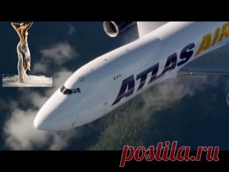 А мне бы крылья.