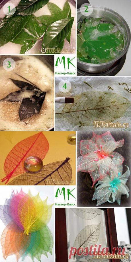 Скелетирование листьев и идеи использования + » Дизайн & Декор своими руками