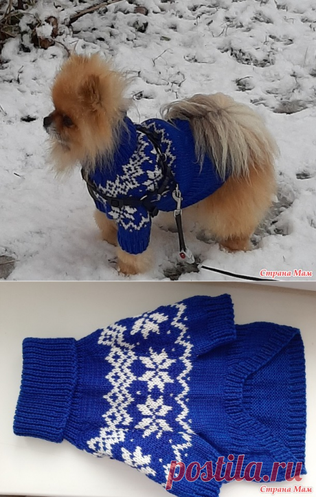 Новогодний свитерок собачке - Вязание - Страна Мам