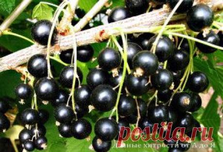 ΠΠΠ― Π£ΠΠΠΠΠ§ΠΠΠΠ― Π£Π ΠΠΠΠ― ΠΠΠΠΠΠ« Π Π‘ΠΠΠ ΠΠΠΠΠ«