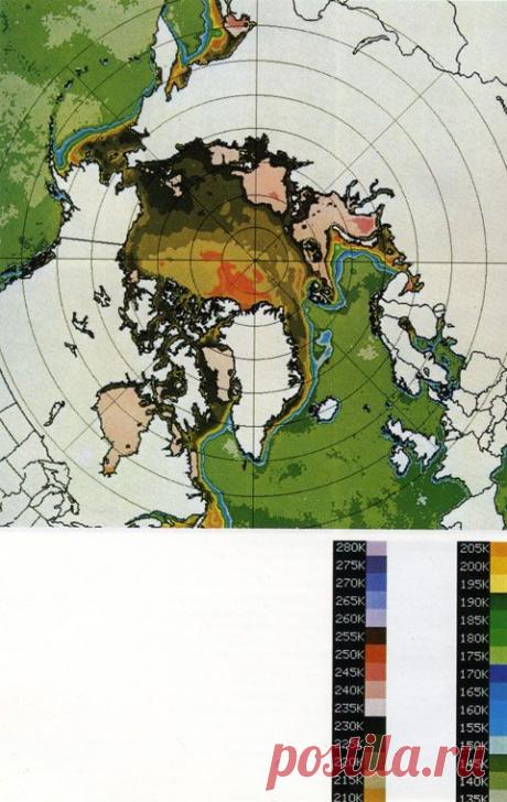 Живой мир полярных районов (Карлтон Рэй Д., Маккормик-Рэй М.Д.)