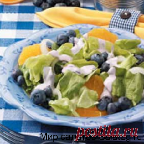 С черникой и мандаринами - Рецепты салатов