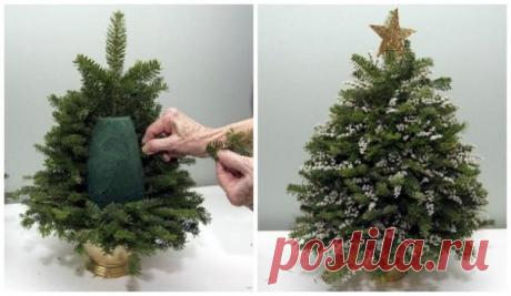 😊Настольная елка из еловой ветки / Богатая добыча