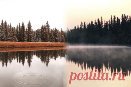 Фотографии-близнецы, сделанные в разных уголках планеты