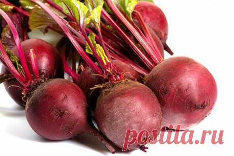 Свекла по всем правилам