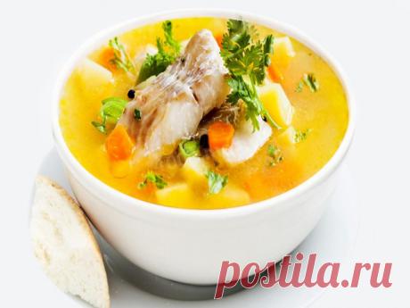 Уха из щуки по русски рецепт с фото - 1000.menu