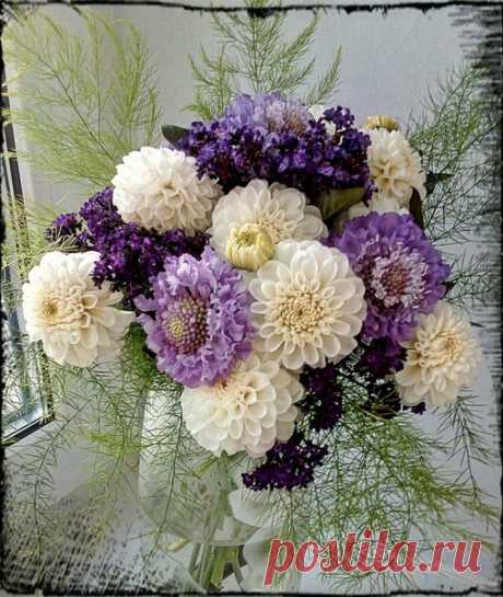 Букетик.....Георгины, скабиоза и гелиотроп))