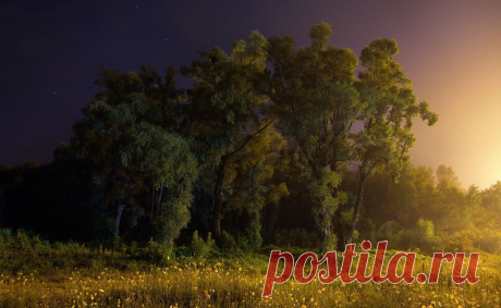 Фотография сон про летнюю ночь из раздела пейзаж №5505445 - фото.сайт - Photosight.ru