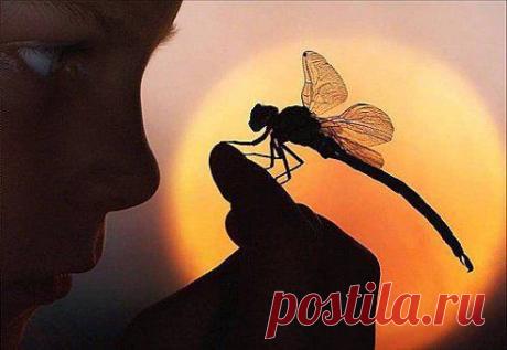 Самые красивые глаза у того, кто смотрит на тебя с любовью. И совсем не важно карие они, голубые или зеленые.