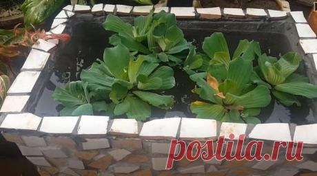 Идея декора сада из пластиковой корзины