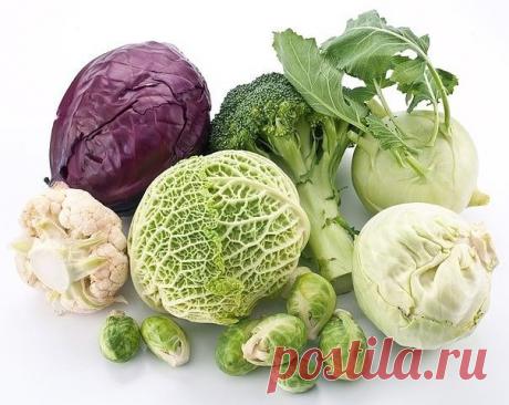 КАПУСТА ПОЛЕЗНА !!!