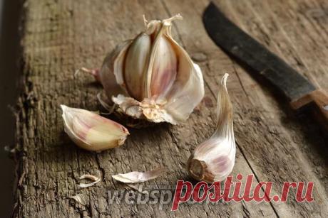 Как чистить чеснок быстро и легко на Webspoon.ru