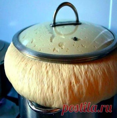 Рецепт- просто Находка! Можно замораживать. Получается у всех!
Готовлю я из этого теста Вкуснейшие пирожки, беляши, булочки, лепешки, пироги с разными начинками, плюшки, ватрушки, пиццу... Рецепт Во! Хранить в холодильнике можно двое-трое суток.
Тесто быстро не перекисает.
Тесто мягкое, к рукам не прилипает, хорошо лепится и пирожки не разваливаются.
________________________________________________________
Молоко — 500 мл
Мука пшеничная — 5 стак.
Сахар — 2 ст. л.
Соль — 0...