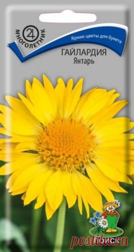 "Гайлардия. Янтарь"