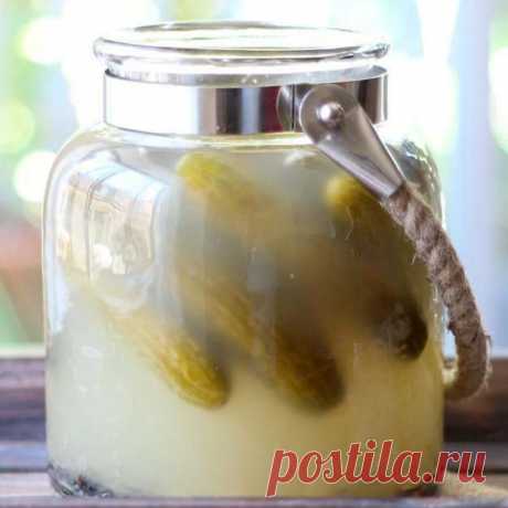 #Рецепты ферментированных продуктов
- Ферментация грибов. Ферментированные #грибы «умами-бомба»
- Ферментированная #рыба
- Хрустящие ферментированные сладкие #огурцы
10 советов по приготовлению хрустящих ферментированных огурцов (с рецептом)
- Рецепт хрустящих ферментированных огурцов
- «Традиционный метод» ферментации огурцов