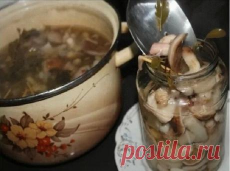 МАРИНАД ДЛЯ ГРИБОВ (Опят, маслят, белых и т. д. )