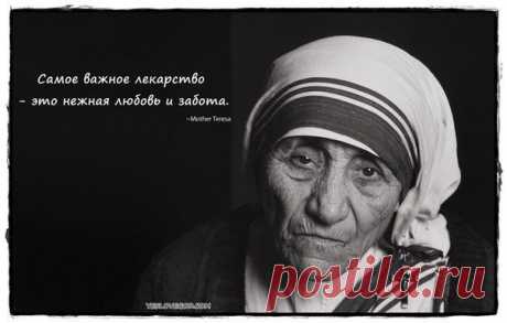 "Отдай свои руки, чтобы служить, и свое сердце — чтобы любить."
Мать Тереза