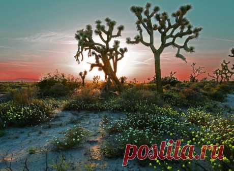 Виртуальная поездка по американскому Юго-Западу | ЛЮБИТЕЛИ ПУТЕШЕСТВОВАТЬ