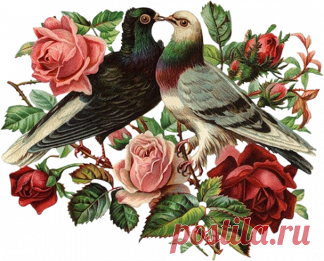 винтажные цветы в PNG для декупажа