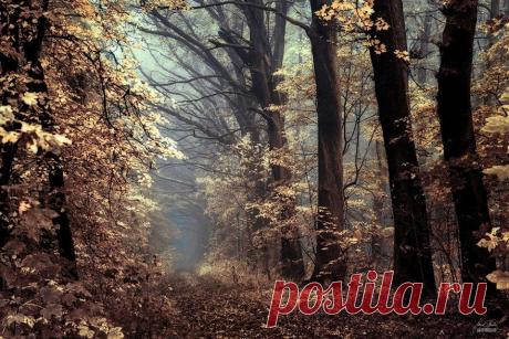 Сказочные осенние пейзажи чешского фотографа