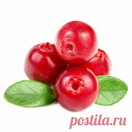 клюква Клюква – вкусная и полезная ягода, она обладает множеством полезных и лечебных свойств. Как использовать и хранить клюкву Вам помогут наши полезные советы.