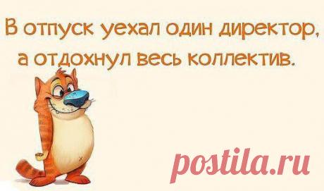 Отдохнул весь коллектив.