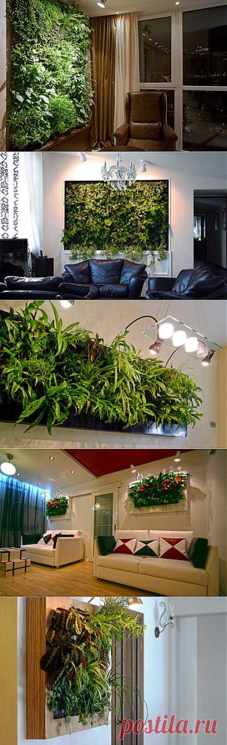 Фитостена – стильный и полезный акцент в интерьере |