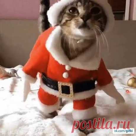 (2) Кукухня - Праздник к нам приходит!