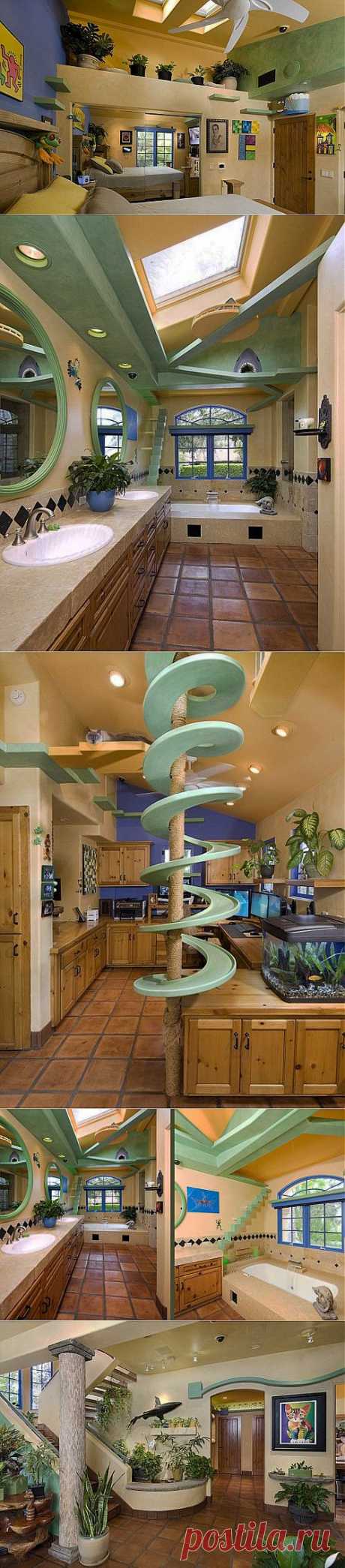 Если в доме проживает 18 кошек... :) | Школа Ремонта