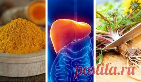 6 лучших трав для защиты печени