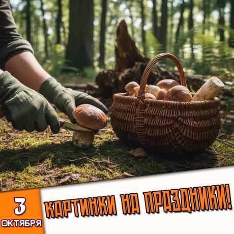 🎉 Праздники которые отмечают в России и мире 3 Октября 2026 года (03.10.26 суббота)
✅ Всемирный день трезвости
✅ День ОМОНа в России
✅ День рождения Сергея Есенина
✅ День брусники
✅ Всемирный день грибника
✅ Первая суббота октября