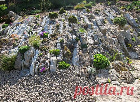 Сады Эстонии: сад Светланы Полонской описание и фото на Supersadovnik.ru