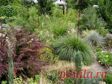 Радикал-Фото: Картинка