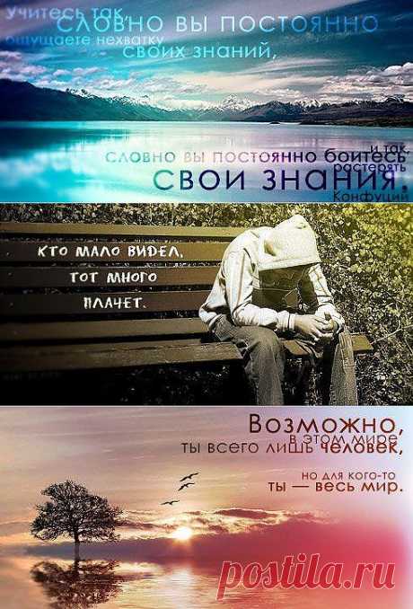 Мудрые цитаты в картинках