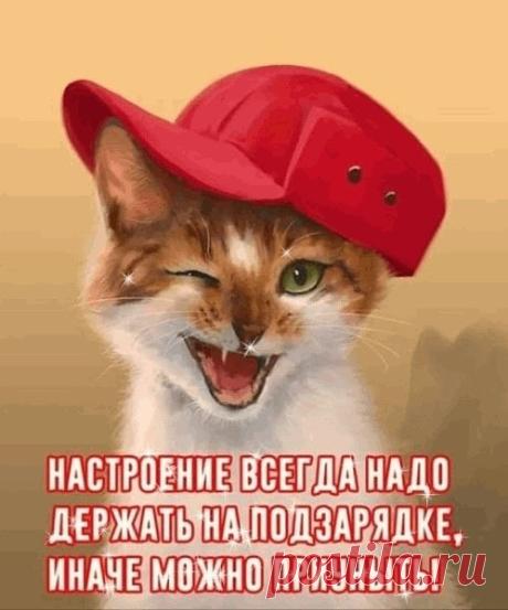 Верно
