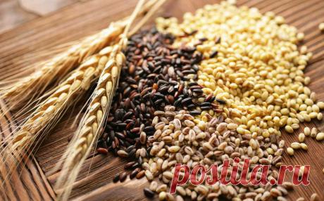 Рецепты тибетских лам для лечения и очищения организма: помогли уже очень многим