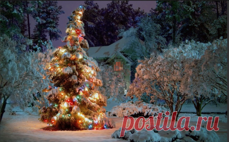 Анжелика Фролова-Дашкова