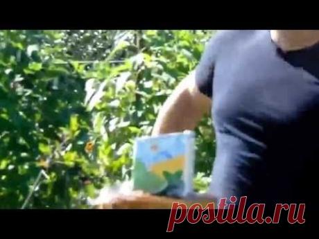 Шашка "Нижегородка".Рубка бутылок.Нарезка видео(2.1)(лучшие моменты).Новичок.(Минск.02.08.2015) - YouTube