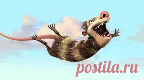 Главное быть счастливым! И не важно, какое заключение напишет психиатр!:) https://2604.st10.su/5