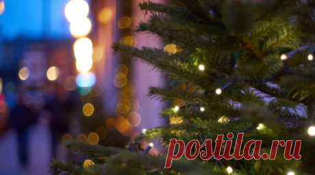 Большинство россиян хотели бы видеть украшенные к Новому году подъезды. Новое исследование показало, что более половины россиян активно готовятся к праздникам и покупают украшения для дома и интерьера, чтобы создать новогоднюю атмосферу. Читать далее