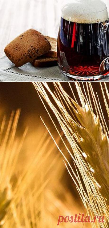 Можно ли пить квас детям и беременным